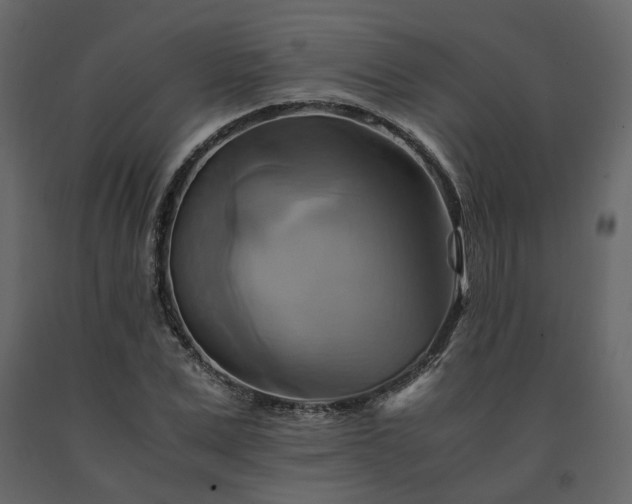 X0000091540975200708241730