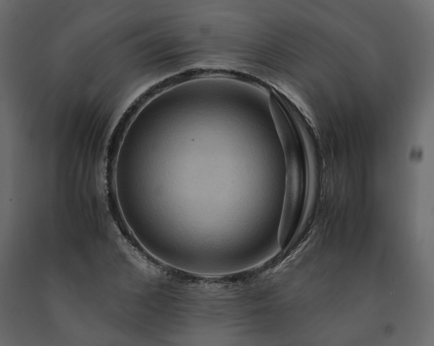 X0000091540976200708241730