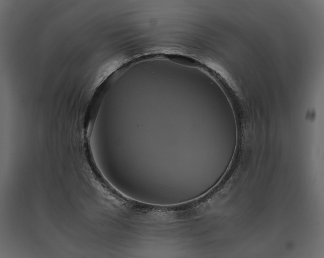 X0000091540977200708241730