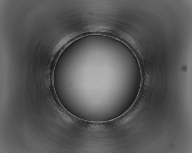 X0000091540978200708241730