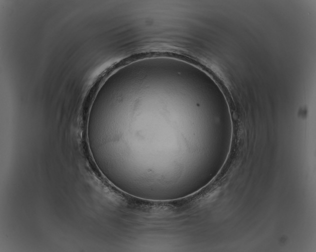 X0000091540979200708241730