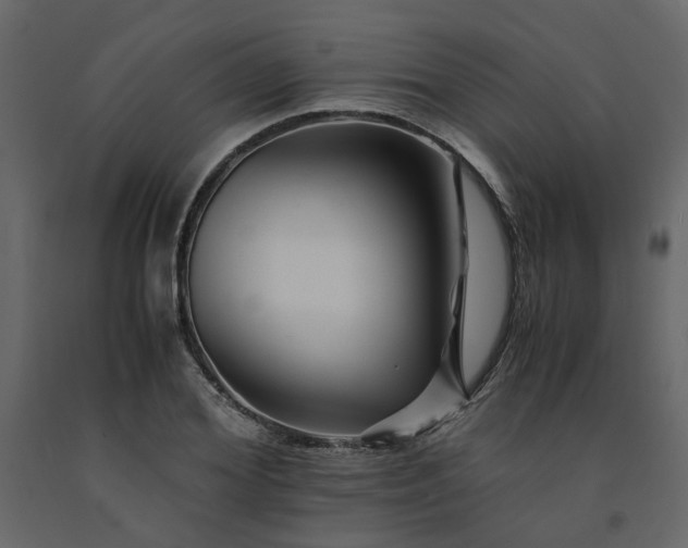 X0000091540980200708241730