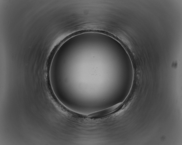 X0000091540981200708241730