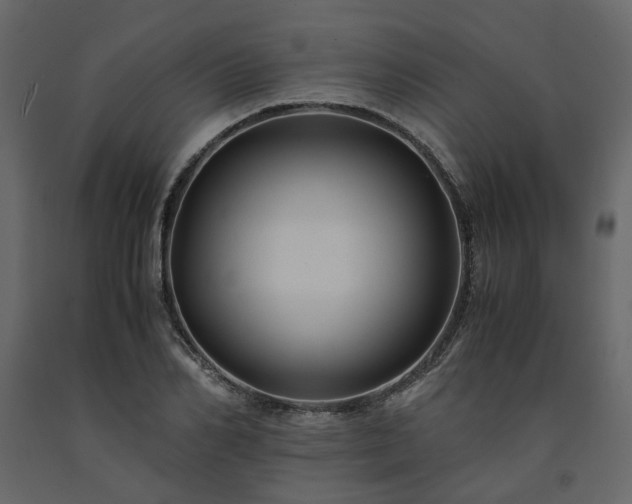 X0000091540982200708241730
