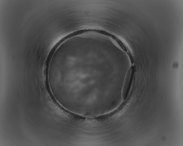X0000091540983200708241730