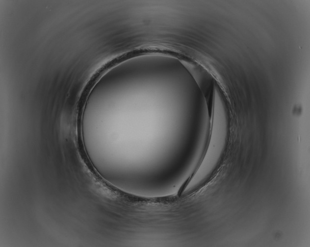 X0000091540984200708241730