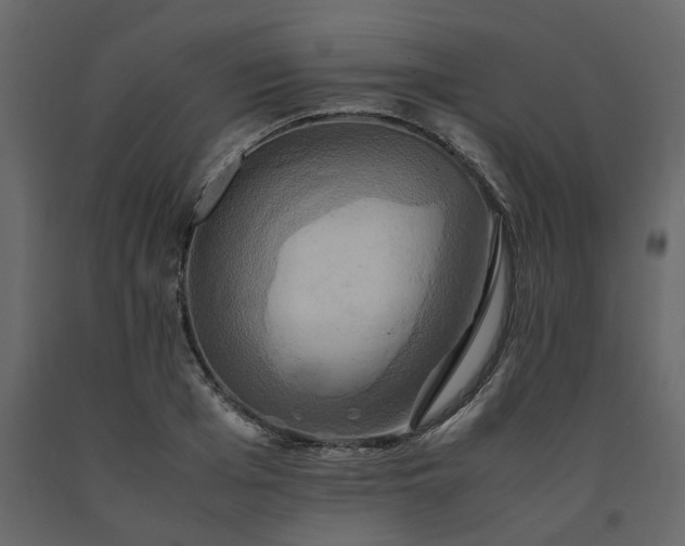 X0000091540985200708241730