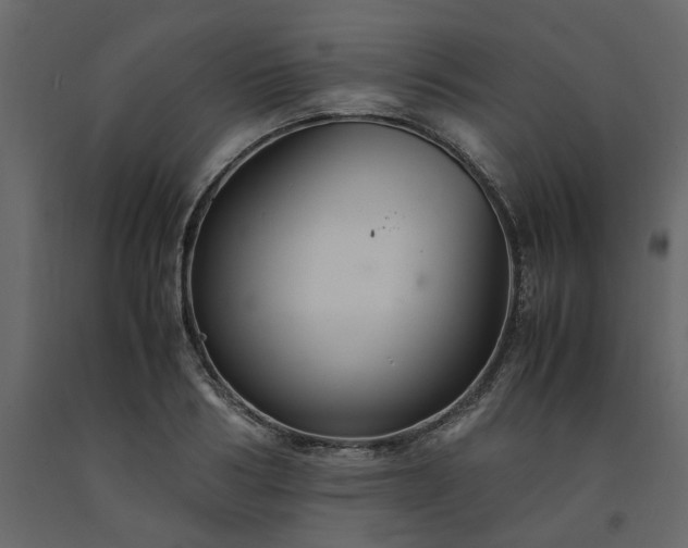 X0000091540986200708241730