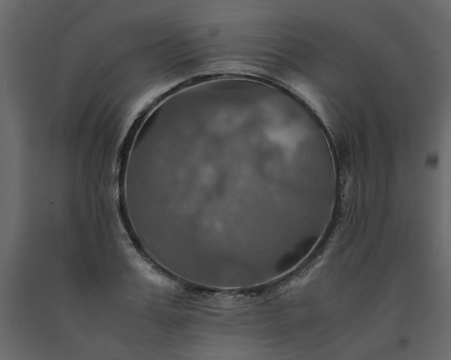 X0000091540987200708241730