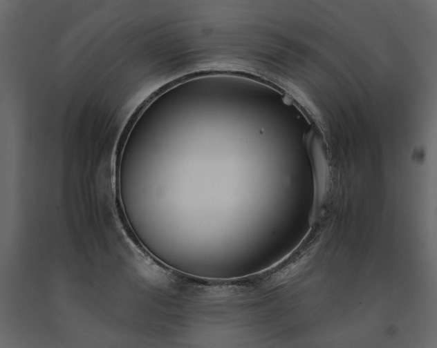 X0000091540988200708241730