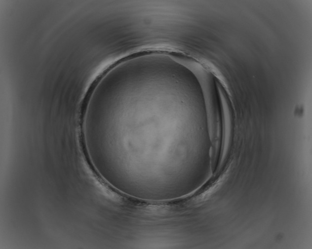 X0000091540989200708241730