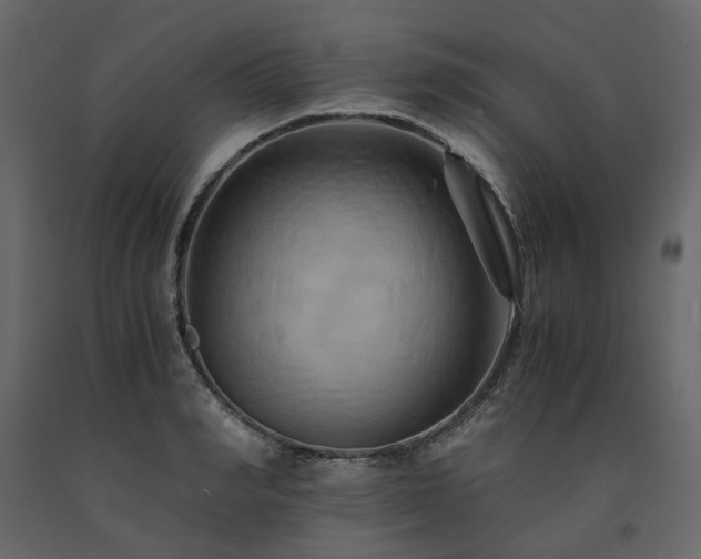 X0000091540990200708241730