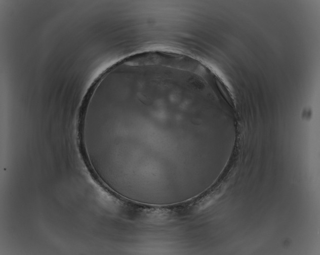 X0000091540991200708241730