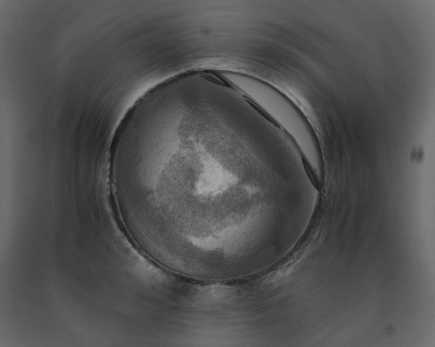 X0000091540992200708241730