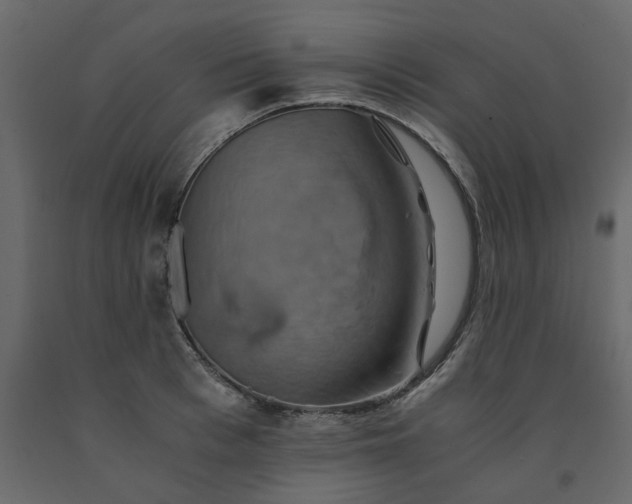 X0000091540993200708241730