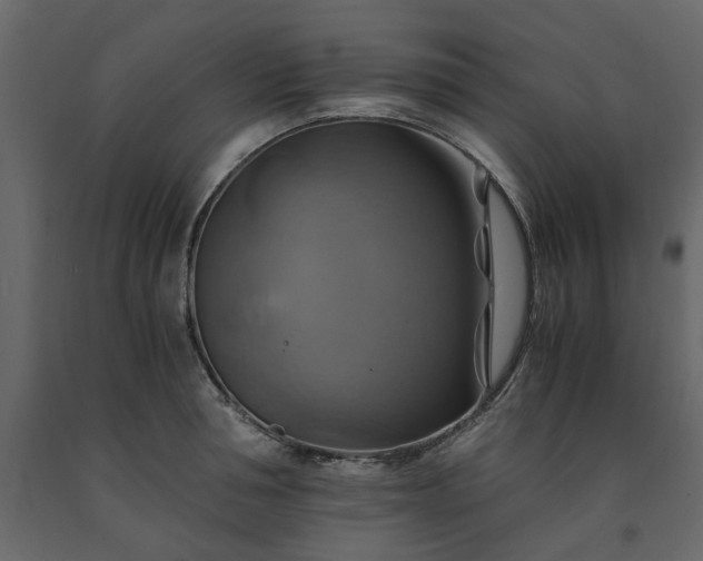 X0000091540994200708241730