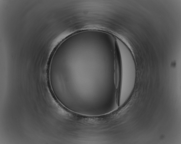 X0000091540995200708241729