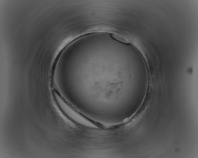 X0000091540997200708241729