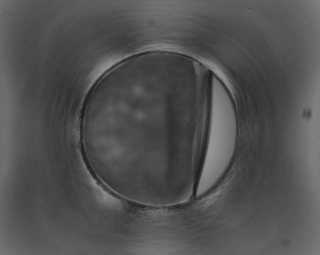 X0000091540999200708241729