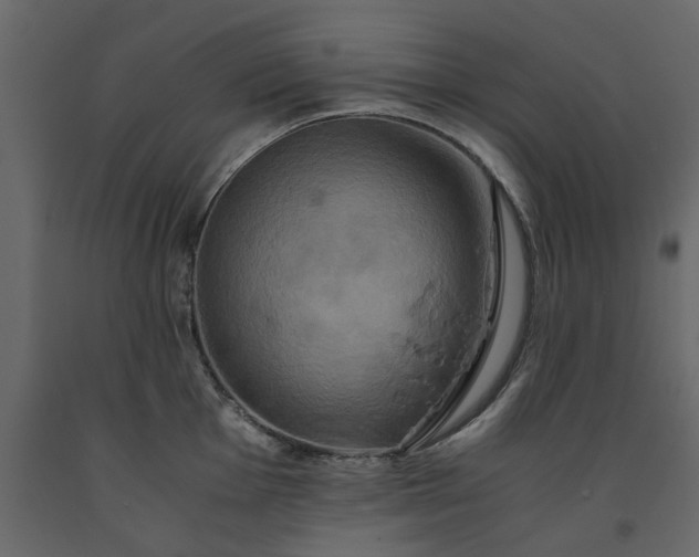 X0000091541001200708241729
