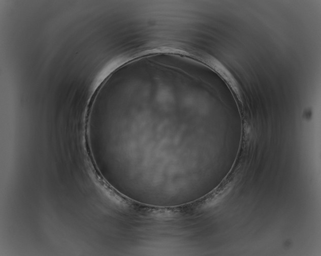 X0000091541002200708241729