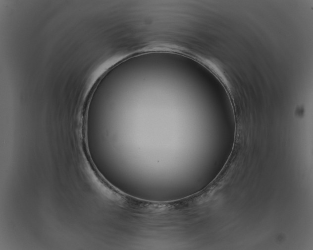 X0000091541003200708241729