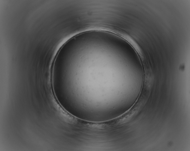 X0000091541004200708241729