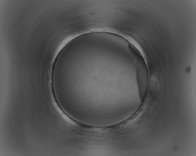 X0000091541005200708241729