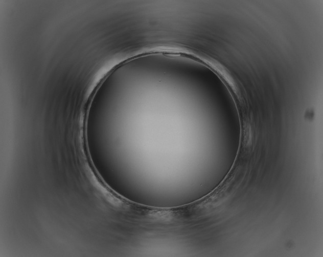 X0000091541006200708241729
