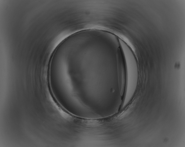 X0000091541007200708241729