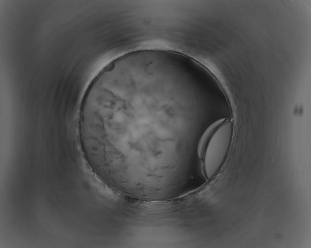 X0000091541008200708241729