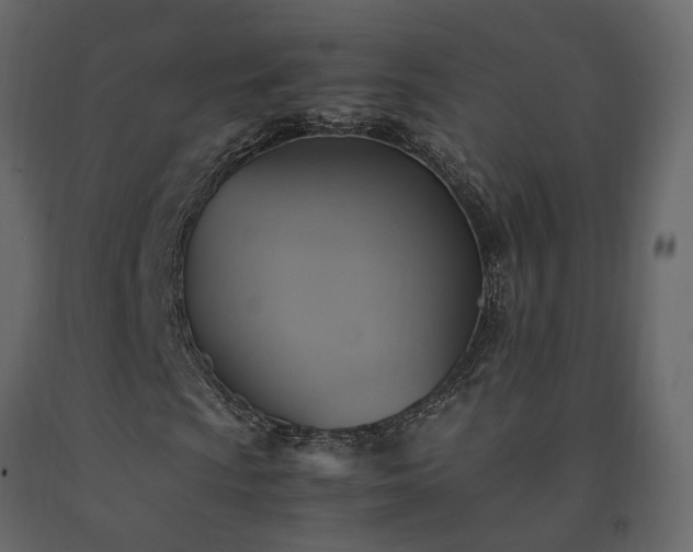 X0000091541009200708241729