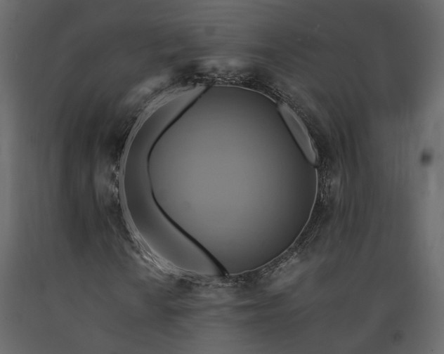 X0000091541010200708241729