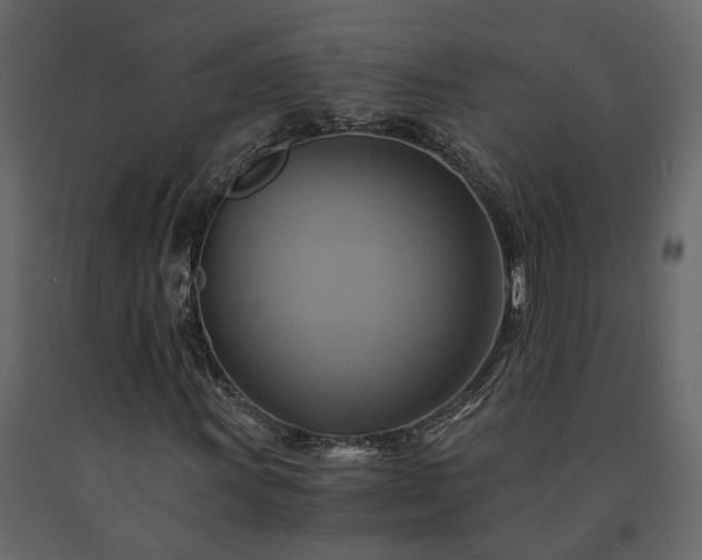 X0000091541011200708241729