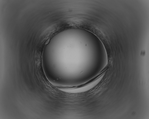 X0000091541012200708241729