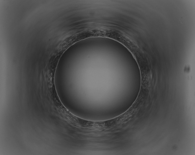 X0000091541013200708241729