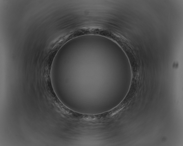 X0000091541014200708241729