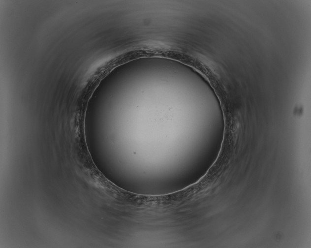 X0000091541016200708241729