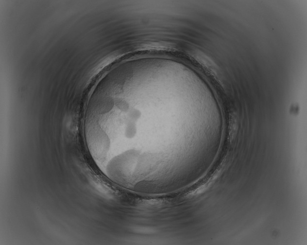 X0000091541017200708241729