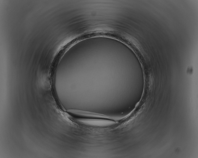 X0000091541018200708241729