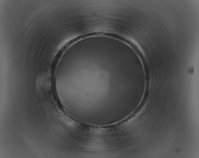 X0000091541019200708241729