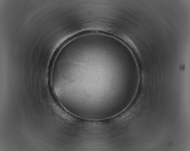 X0000091541020200708241729