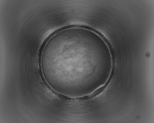 X0000091541022200708241729