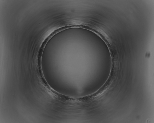 X0000091541023200708241729