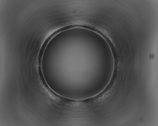 X0000091541024200708241729