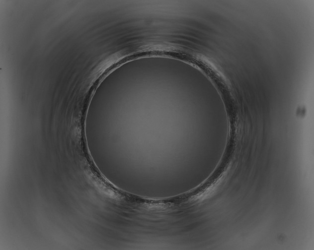 X0000091541025200708241729