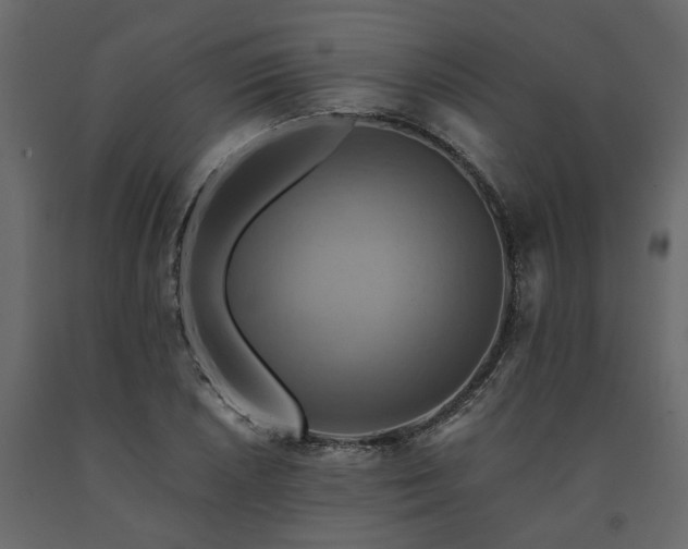 X0000091541026200708241729