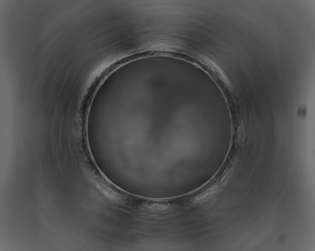 X0000091541027200708241729