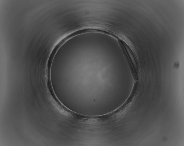X0000091541028200708241729