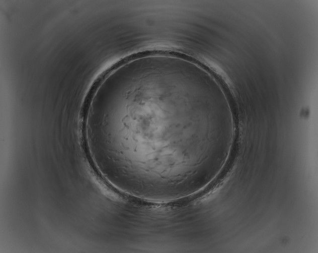 X0000091541029200708241729